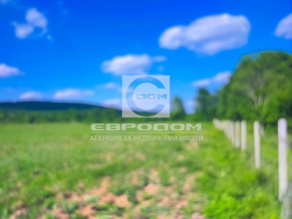 Продавам парцел 160дка в с. Прилеп, на 14км. от к.к. Албена - 0