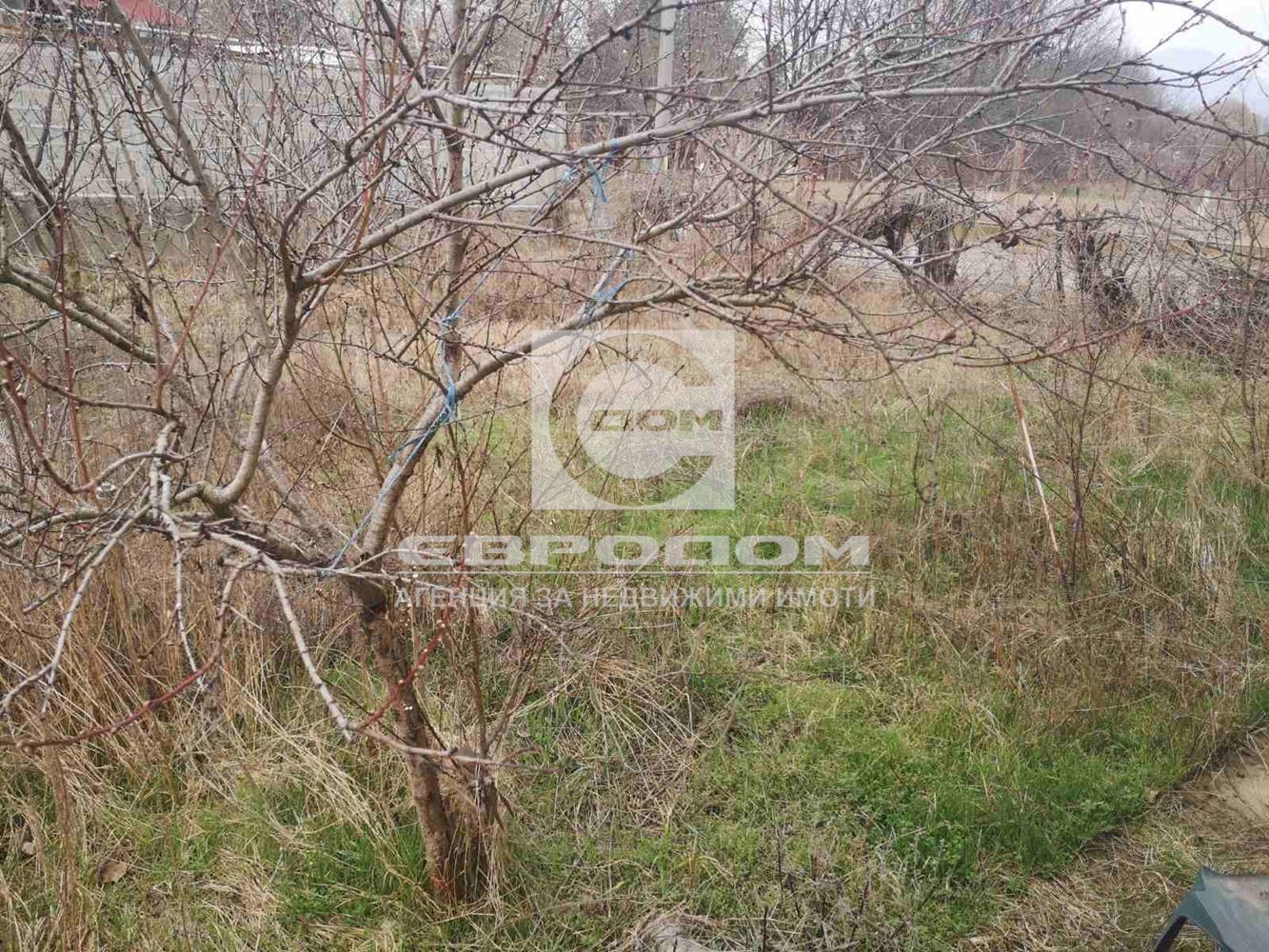 Масивна къща до комплекс " Терма " в село Ягода - 0